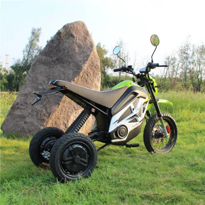 electrical trike cycles electric Trike bike sport model