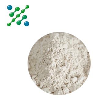 L-Arginine Sports Nutrition Ingredient