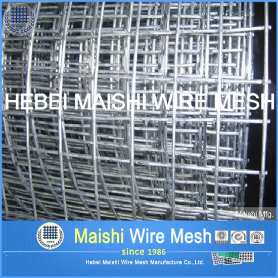 Alibaba Hot Sales Welded Wire Mesh
