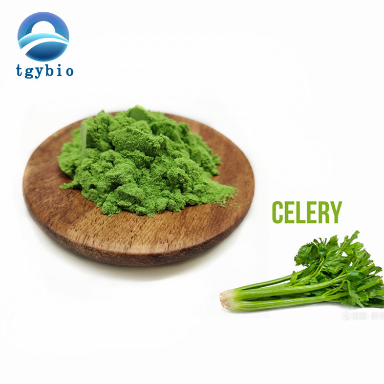 Celery Juice Powder1 Jpg