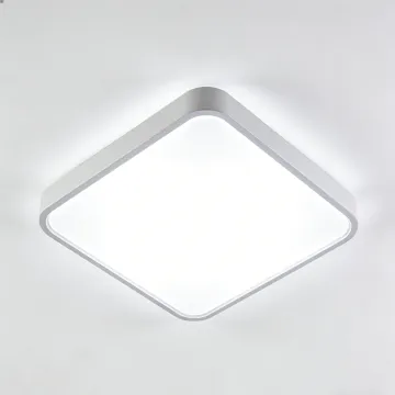 Matte finish ceiling light LED