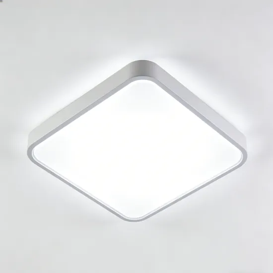 Matte finish ceiling light LED