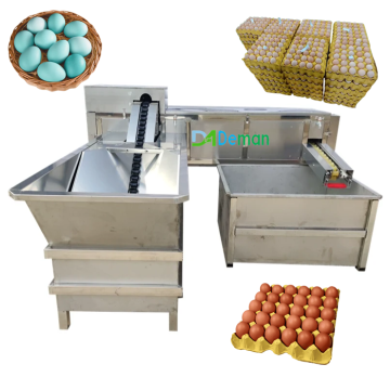 5500pcs Clay Eghetherer Reiniger: Frisch -Eierbürstenreinigung &amp; Candling Machine