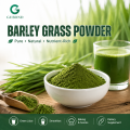 Polvo de hierba de cebada para fórmulas de superalimentos de nutrición verde