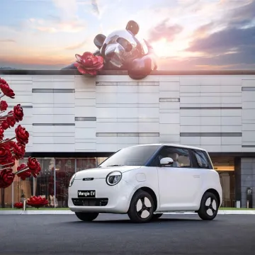 2023 New Electric Car Rechargeable Changan Lumin Popular Micro Electric Car Made in China