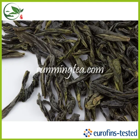 Green Tea Wholesale in Guangzhou Green Tea Weight Loss                        
                                                Quality Choice