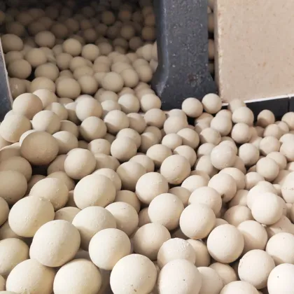 Alumina Ceramic Grinding Ball Mill South Korea