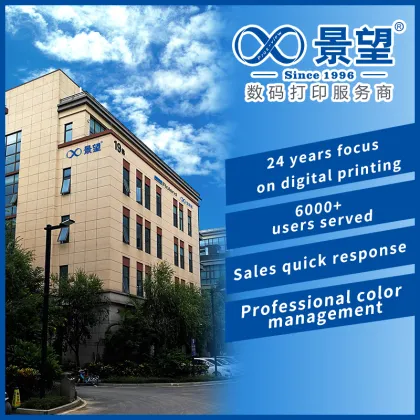 PROS-VIEW Ricoh G5 UV Net belt printer