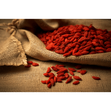 Lycii Fructus Extract