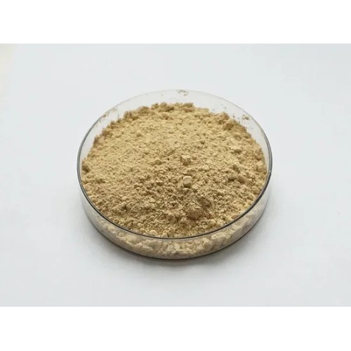 Gynostemma Pentaphyllum Leaf Extract Gynostemma Gypenosides