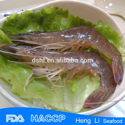 sea shrimp