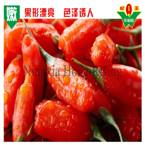 Natural la baie de goji berry wolfberries
