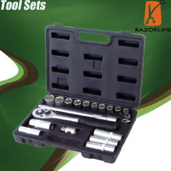 21PC Socket wrenches (SD-H8021)