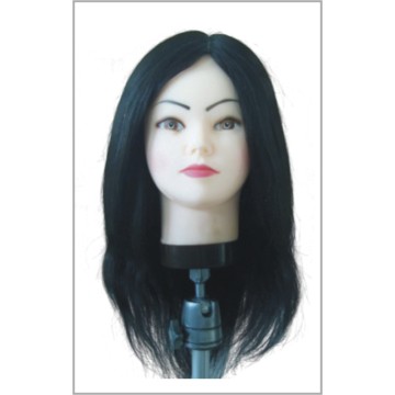 DUMMY HEAD FOR TRAINING,HAIRDRESSING