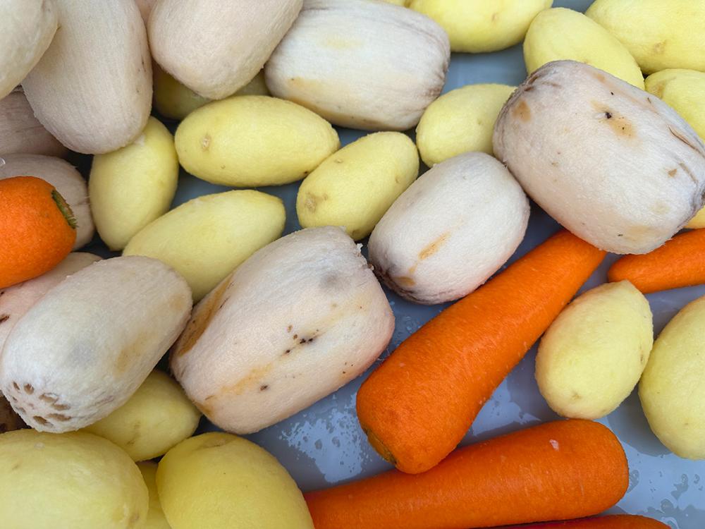 carrot peeling machine 