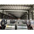 Building Materials Zinc Coated Galvanized Steel Coils