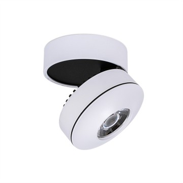 Verstelbaar oppervlakte gemonteerde LED -downlight plafondlamp