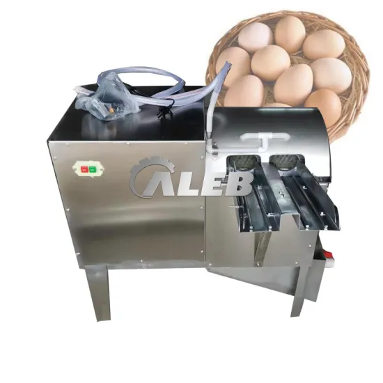 Professional Egg Cleaning Machine: Efficient Solution for Sanitizing and Preparing Eggs