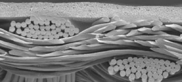 Membrane Lamination    