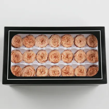 Wholesale Long-Lasting Austin Preserved Roses - Eternelle Eternal Flowers