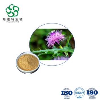 Premium Cirsium Japonicum Extract Bulk for Nutraceuticals