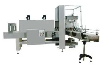 Zs - 450A Packing Machine