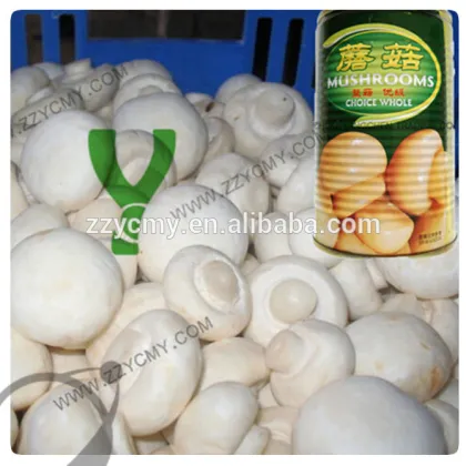 Chinese Mushrooms Recipes Canned Mushroom