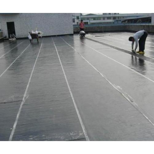 Liquid Waterproofing Membrane Cold Formed Steel Building Material Asphalt Waterproof Manufactory