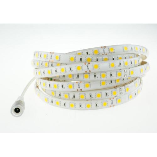 Best Price 5050 RGBW LED Strip with CE UL List