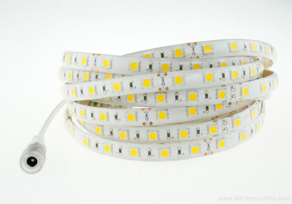 DC24V 300D white light  SMD 5050 LED Strip