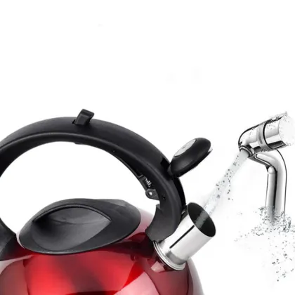 Japanese 304 Stainless Steel Kettle