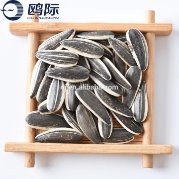 Competitive price large sunflower seed for sale