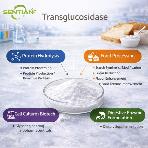 Functional Sugar Production with Transglucosidase Enzyme