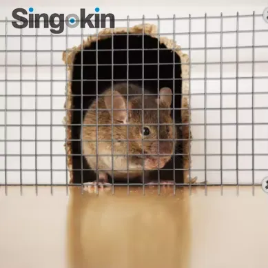 1/4 Inch Mesh Hole Stainless Steel Wire Mesh for Rat Control