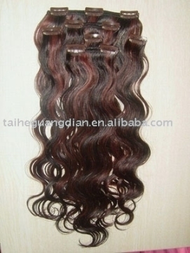 clips hair extension