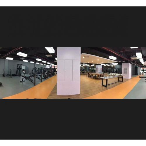 Enlio Multi Purpose PVC Sports Flooring Gym Room