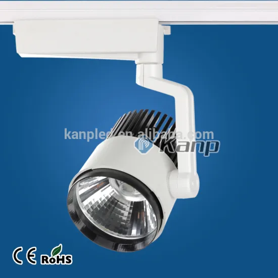 30W COB Chip Rail Led Track Spot Light