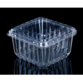 Transparent Blueberry Plastic Packaging Clamshell Box