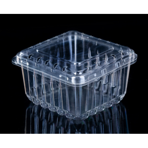 Transparent Blueberry Plastic Packaging Clamshell Box