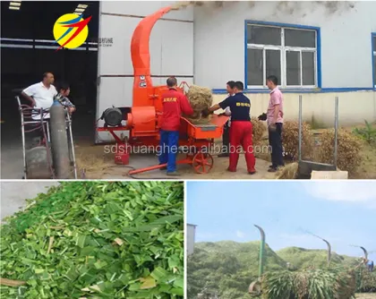 Agro Processing Equipment: Feed Cutting Machine for Goats
