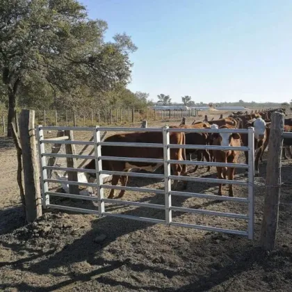 High Quality China Livestock Fence Panels for Farms