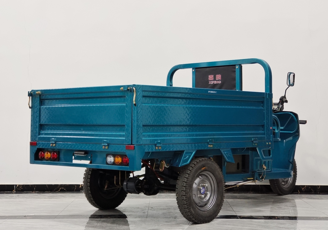 Long range Electric Tricycle With Steel Bottom