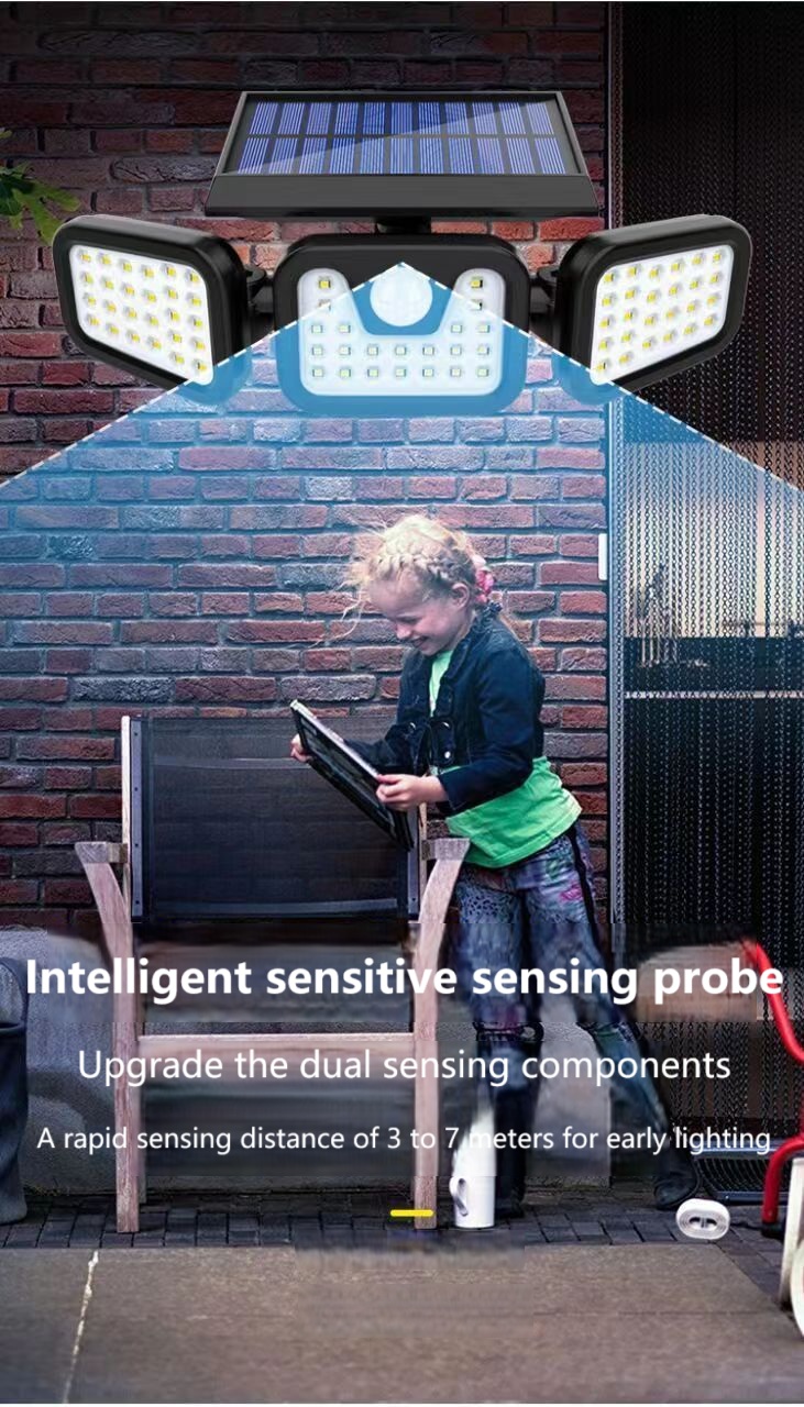 Solar Garden Light(14)