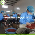 Factory Supply Fruit Premium Low-vochtige Goji-bessen