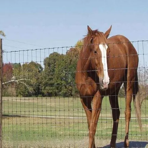 Farm Fence Galvanized Wire Horse Grassland Net Safety Fence Factory