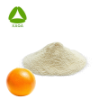 Orange Peel Extract 98% Hesperidin Powder