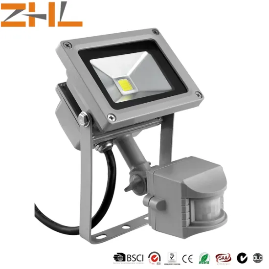 Sky series led Floodlight30W with PIR Sensor