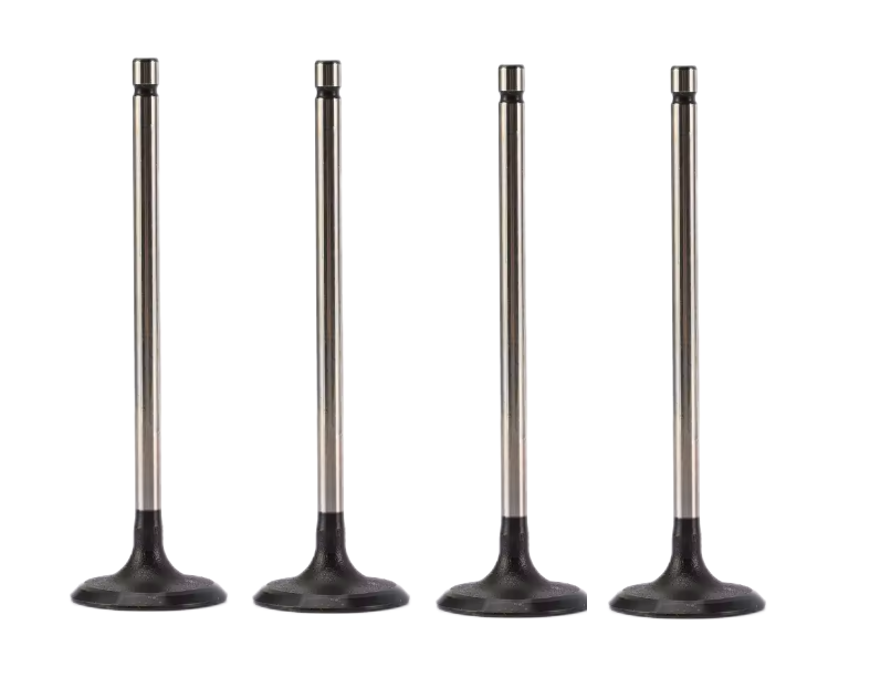 Intake Valve 90232973 for Engine Components