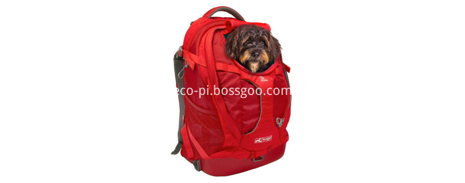 Kurgo-Dog-Carrier-Backpack-for-Small-Pets-6qcvoo1ju0v6c4vsw9mebxausah1uu5xf1af0wu8cxe
