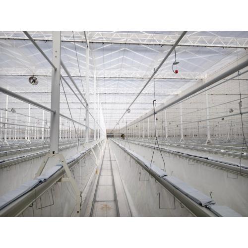 Semi Closed Greenhouse for Climate Control
